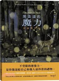 黑漆漆的魔力 : 耶誕節故事 / 