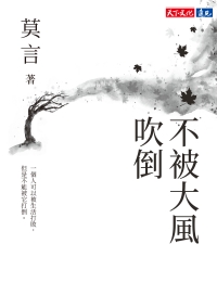 不被大風吹倒書封