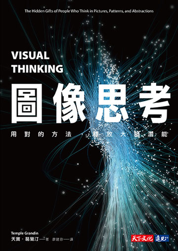 圖像思考：用對的方法，釋放大腦潛能書封